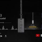 Ehsan Daryadel Lalaei Live Version