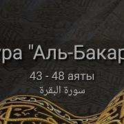 Сура Аль Бакара 44 48 Аяты Красивое Чтение
