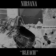 Scoff Backing Track