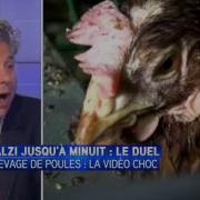 Itele Galzi