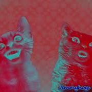 Preview 2 Numa Cat Effects