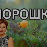 Морошка Юлия Боголепова