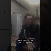 Мопс Заехал В Хату