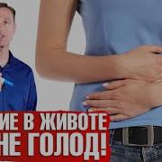 Урчание В Животе 1 Час