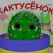 Песня Про Кактусы