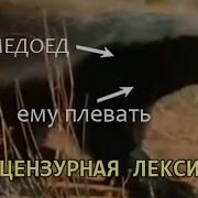 Медоед Озвучка