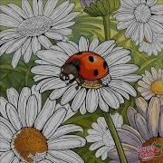 Little Beetle Рисование И Раскраска