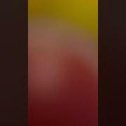 Говорящий Попугай Обидел Меня