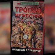 Аудиокнига Тропой Мужества Владислав Стрелков