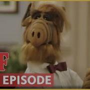 Are You An Alf