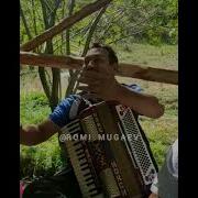 Курдский Красивая Девушка Поет На Курдском Языке