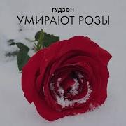 Гудзон Умирают Розы