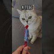 Я Тебя Поймаю В Сети
