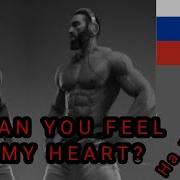 Can You Feel My Heart На Русском