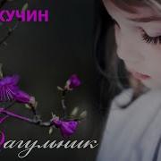 Кучин Багульник