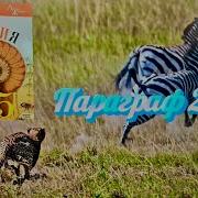 22 Параграф Биология 5 Класс