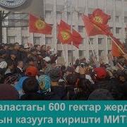 Митинг Кытай Таластагы 600 Гектар Жерди Ээлеп Алтын Казууга Киришти