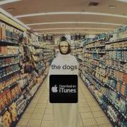 Dog Moby