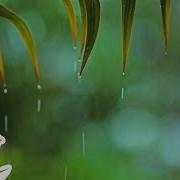 You Me Relaxing Piano Music Soft Rain Sounds For Sleep Relaxation By Peder B Helland Soothing Relaxation