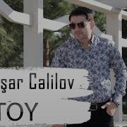 Yashar Celilov Toy