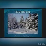 Как Звери Зимуют В Лесу Часть 1