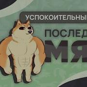 Бухая Сыкуха