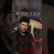 Сектор Газа По Грибы