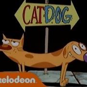 Catdog Music