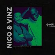 Nico Vinz Am I Wrong Instrumental