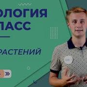 Параграф 1 Биологии 6 Класс