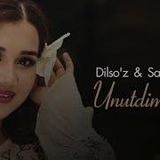 Dilso Z Kelaman Deding Дилсуз Келаман Дединг Music Version
