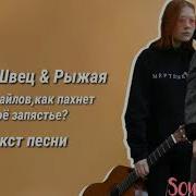 Свидригайлов Алена Швец