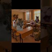 Давайте Окунемся В Школьные Будни