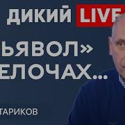 Дикий Лайф Олег Стариков