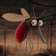 Neelix Mosquito