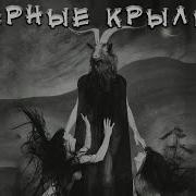 Черные Крылья Черный Рик