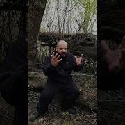 Как Я С Лосем Сражался В Лесу