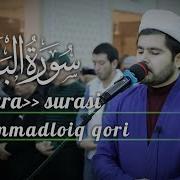 Мухаммадлоик Кори Бакара