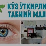 Кузга Куйган Усмани