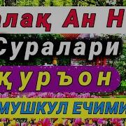 Фалак Ва Нос Суралари