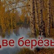 Две Березы В Чистом Поле А Судьба Одна