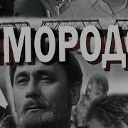 Зимородок Узбек Тилида