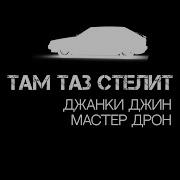 Там Басс Стелит