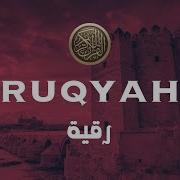 Рукия Сехр Жодуга Карши