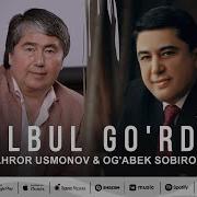 Булбул Курдим Ахрор Усмонов