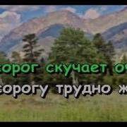 Подружитесь С Носорогом Караоке