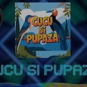 Cucu Si Pupaza Nuntasii