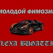 Летопись Янг Фимозик