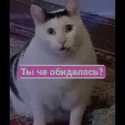 Ты Чё Обиделась