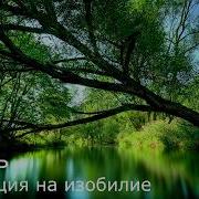Дипак Чопра Медитация Изобилия